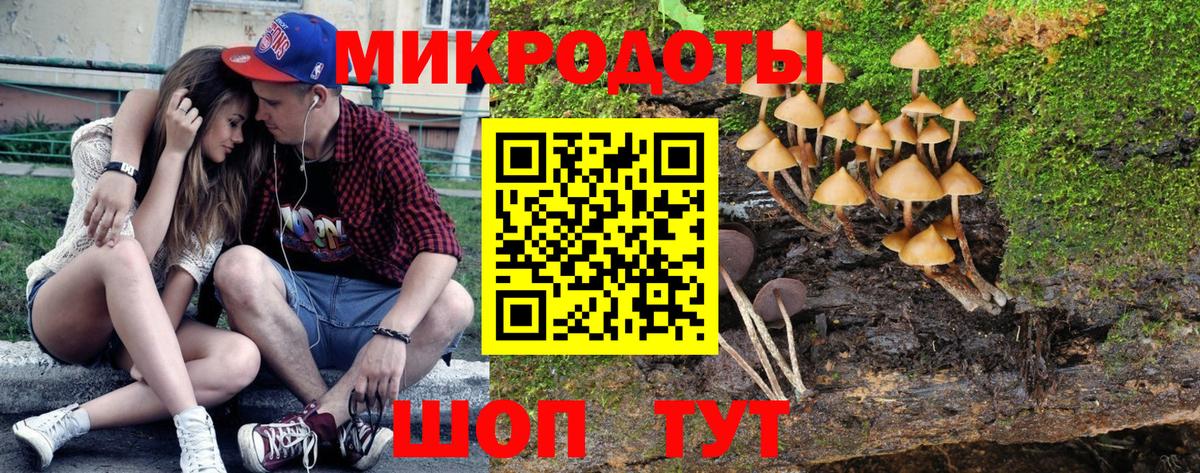 Галлюциногенные грибы ЛСД Кропоткин